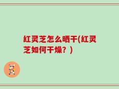 红灵芝怎么晒干(红灵芝如何干燥？)