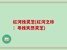 红河找灵芝(红河之珍：寻找天然灵芝)