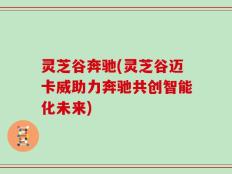 灵芝谷奔驰(灵芝谷迈卡威助力奔驰共创智能化未来)