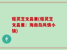 程灵芝文昌里(程灵芝文昌里：海南岛风情小镇)
