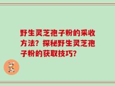 野生灵芝孢子粉的采收方法？探秘野生灵芝孢子粉的获取技巧？