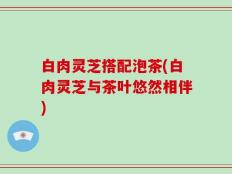 白肉灵芝搭配泡茶(白肉灵芝与茶叶悠然相伴)