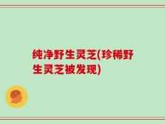 纯净野生灵芝(珍稀野生灵芝被发现)