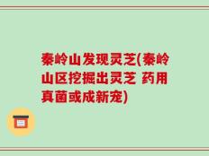 秦岭山发现灵芝(秦岭山区挖掘出灵芝 药用真菌或成新宠)