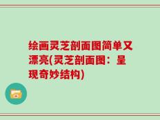 绘画灵芝剖面图简单又漂亮(灵芝剖面图：呈现奇妙结构)