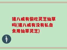 猪八戒有偷吃灵芝仙草吗(猪八戒有没有私自食用仙草灵芝)