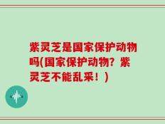 紫灵芝是国家保护动物吗(国家保护动物？紫灵芝不能乱采！)