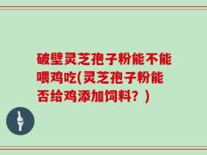 破壁灵芝孢子粉能不能喂鸡吃(灵芝孢子粉能否给鸡添加饲料？)