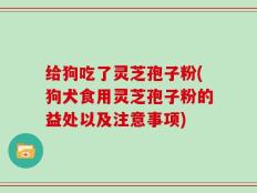 给狗吃了灵芝孢子粉(狗犬食用灵芝孢子粉的益处以及注意事项)
