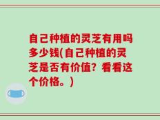 自己种植的灵芝有用吗多少钱(自己种植的灵芝是否有价值？看看这个价格。)