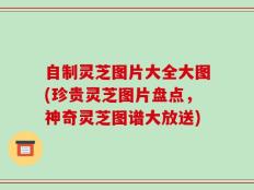 自制灵芝图片大全大图(珍贵灵芝图片盘点，神奇灵芝图谱大放送)