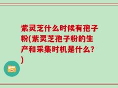 紫灵芝什么时候有孢子粉(紫灵芝孢子粉的生产和采集时机是什么？)