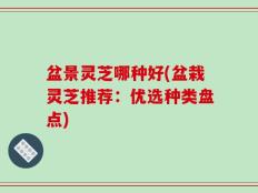 盆景灵芝哪种好(盆栽灵芝推荐：优选种类盘点)