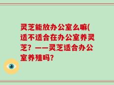灵芝能放办公室么嘛(适不适合在办公室养灵芝？——灵芝适合办公室养殖吗？