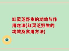 红灵芝野生的功效与作用吃法(红灵芝野生的功效及食用方法)
