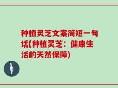 种植灵芝文案简短一句话(种植灵芝：健康生活的天然保障)