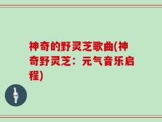 神奇的野灵芝歌曲(神奇野灵芝：元气音乐启程)