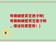 粤徽破壁灵芝孢子粉(粤徽制破壁灵芝孢子粉，保证优质营养！)