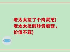 老太太捡了个肉灵芝(老太太捡到珍贵蘑菇，价值不菲)