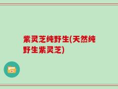 紫灵芝纯野生(天然纯野生紫灵芝)