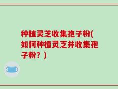 种植灵芝收集孢子粉(如何种植灵芝并收集孢子粉？)