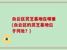白云区灵芝基地在哪里(白云区的灵芝基地位于何处？)