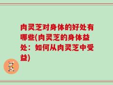肉灵芝对身体的好处有哪些(肉灵芝的身体益处：如何从肉灵芝中受益)