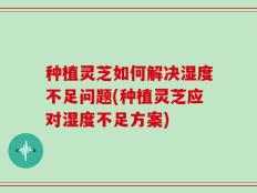 种植灵芝如何解决湿度不足问题(种植灵芝应对湿度不足方案)