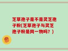 芝草孢子是不是灵芝孢子粉(芝草孢子与灵芝孢子粉是同一物吗？)