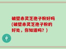 破壁赤灵芝孢子粉好吗(破壁赤灵芝孢子粉的好处，你知道吗？)