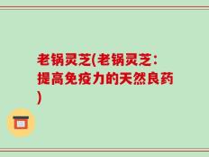 老锅灵芝(老锅灵芝：提高免疫力的天然良药)