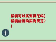 稻妻可以买海灵芝吗(稻妻能否购买海灵芝？)