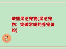破壁灵芝宠物(灵芝宠物：突破常规的养宠体验)