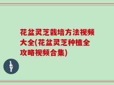 花盆灵芝栽培方法视频大全(花盆灵芝种植全攻略视频合集)