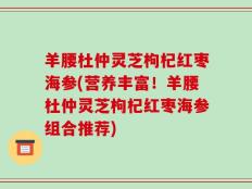 羊腰杜仲灵芝枸杞红枣海参(营养丰富！羊腰杜仲灵芝枸杞红枣海参组合推荐)