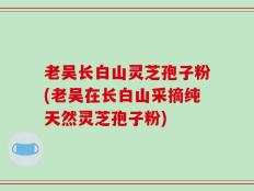 老吴长白山灵芝孢子粉(老吴在长白山采摘纯天然灵芝孢子粉)