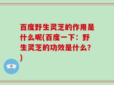 百度野生灵芝的作用是什么呢(百度一下：野生灵芝的功效是什么？)