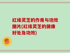 红缘灵芝的作用与功效图片(红缘灵芝的健康好处及功效)