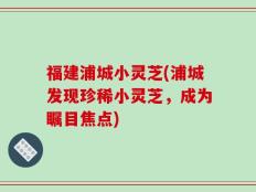 福建浦城小灵芝(浦城发现珍稀小灵芝，成为瞩目焦点)