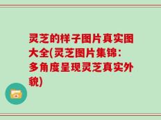 灵芝的样子图片真实图大全(灵芝图片集锦：多角度呈现灵芝真实外貌)