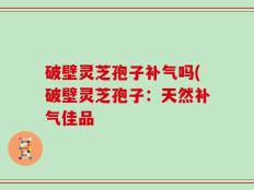 破壁灵芝孢子补气吗(破壁灵芝孢子：天然补气佳品