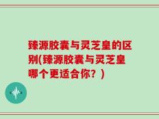 臻源胶囊与灵芝皇的区别(臻源胶囊与灵芝皇哪个更适合你？)
