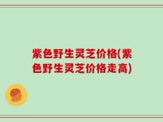 紫色野生灵芝价格(紫色野生灵芝价格走高)