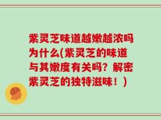 紫灵芝味道越嫩越浓吗为什么(紫灵芝的味道与其嫩度有关吗？解密紫灵芝的独特滋味！)