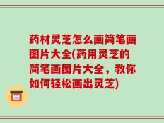 药材灵芝怎么画简笔画图片大全(药用灵芝的简笔画图片大全，教你如何轻松画出灵芝)