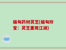 缅甸药材灵芝(缅甸珍宝：灵芝重现江湖)