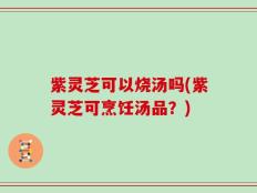 紫灵芝可以烧汤吗(紫灵芝可烹饪汤品？)