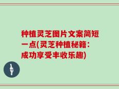 种植灵芝图片文案简短一点(灵芝种植秘籍：成功享受丰收乐趣)