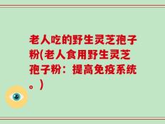 老人吃的野生灵芝孢子粉(老人食用野生灵芝孢子粉：提高免疫系统。)