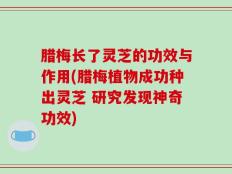 腊梅长了灵芝的功效与作用(腊梅植物成功种出灵芝 研究发现神奇功效)